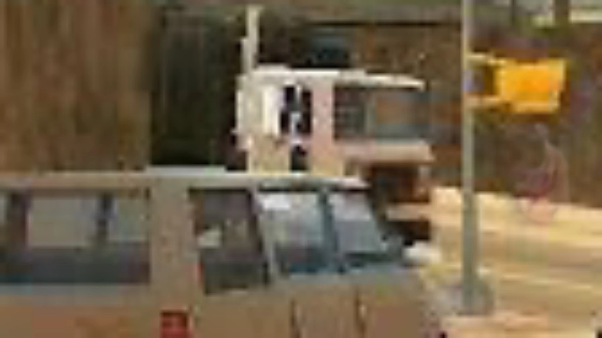 A rare screenshot a player swears captures the creature lurking in a dark Portland corner—too grainy to prove anything.