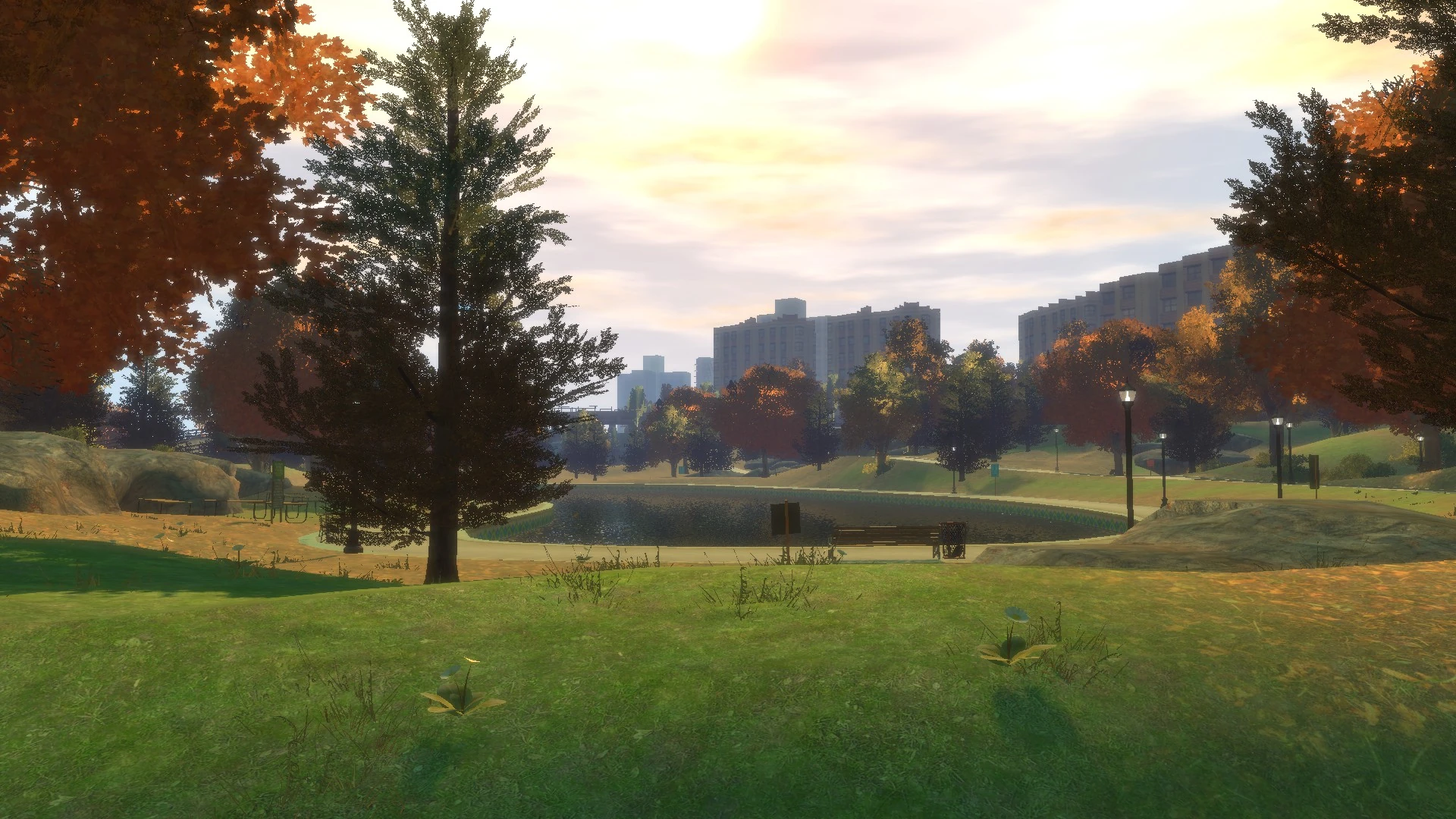 A nighttime shot of Welham Park, where myth-hunters searched for Bigfoot tracks and found nothing but pigeons.