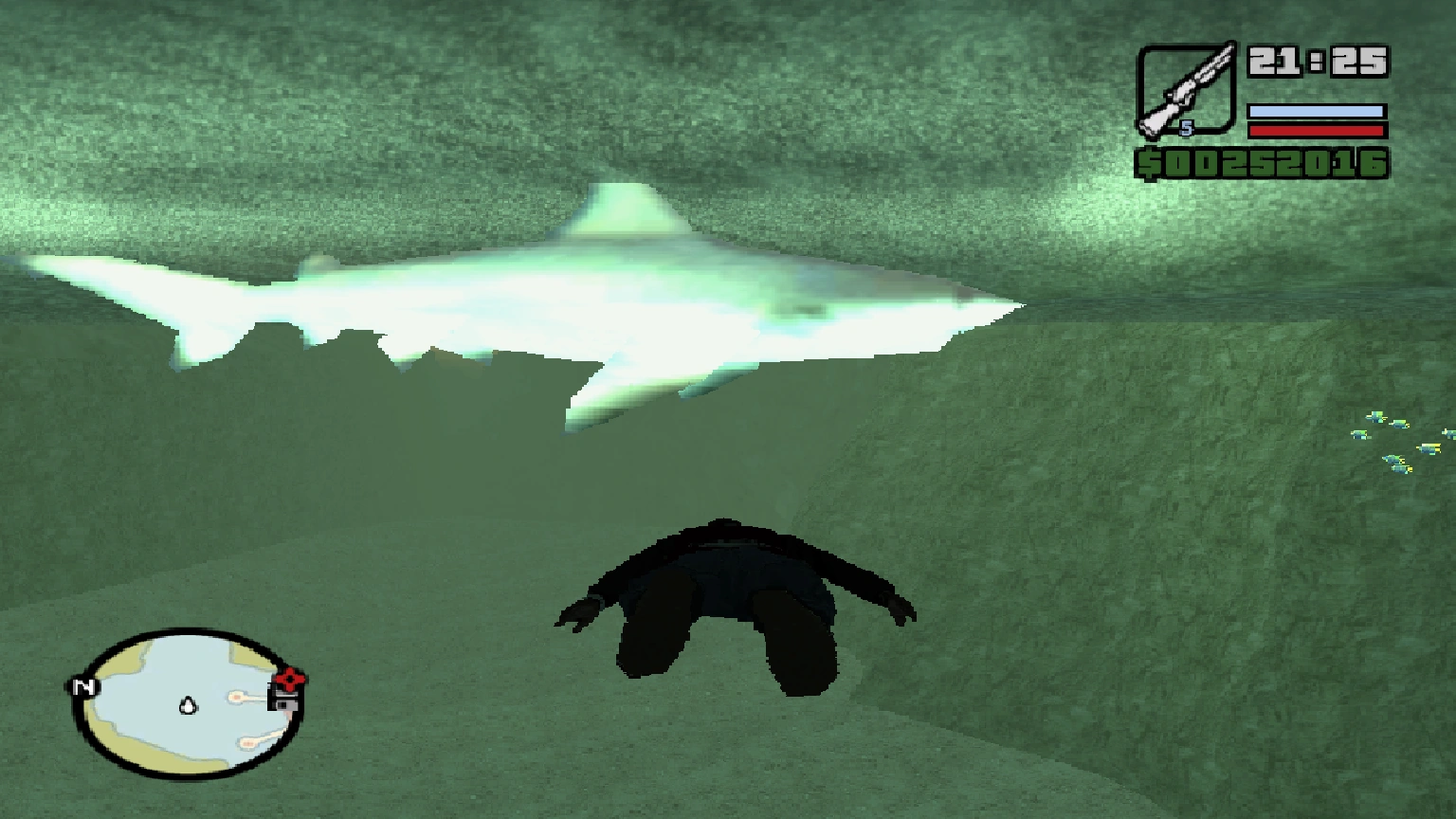 The official shark render from GTA SA — proof it exists, but it's basically just another fleeing fish.
