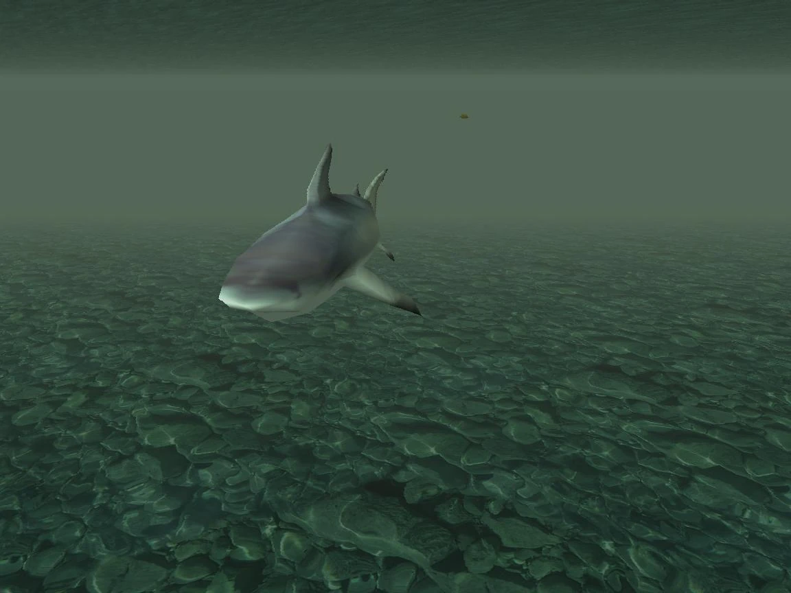 Close-up of the shark's face looking menacing — shame it bolts the second you get this close for real.