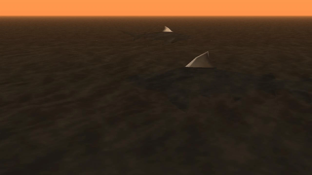 Multiple sharks in one shot — a rarity that fueled years of 'they don't exist' debates.