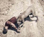 Peyote cougar mode: either you're the hunter or Trevor's becoming cat food, no in-between.