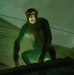 Monkey business in Los Santos: fly across the map, terrorize pedestrians, and nobody even calls the cops on your tiny primate ass.