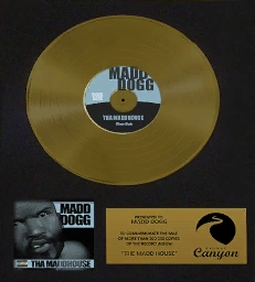 One of his gold records — dude's so loaded, maybe he just bought weird art without asking questions.