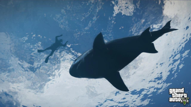 The standard shark players actually encountered — nothing close to the mythical Megalodon size.