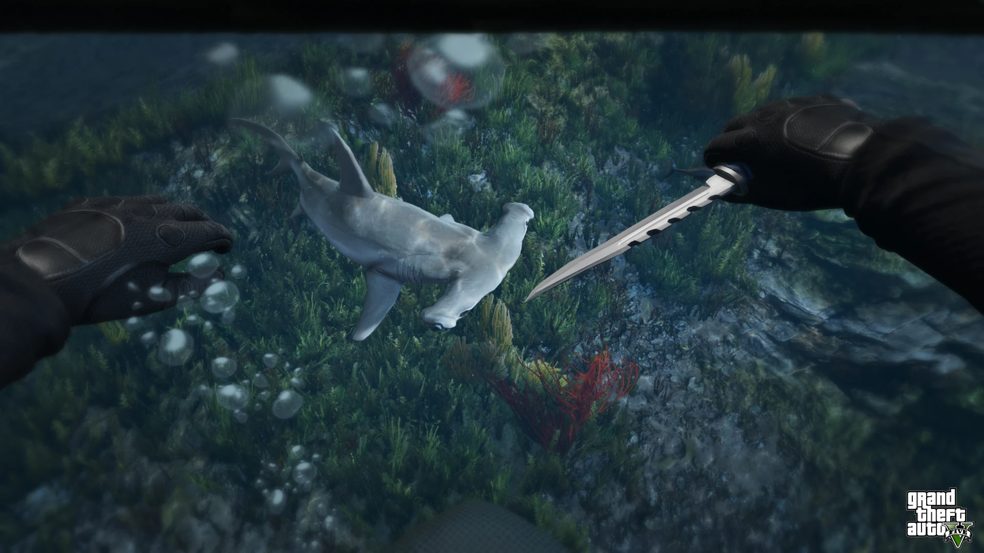 Hammerheads exist, but the Megalodon? Just a rendering legend that fooled the whole community.