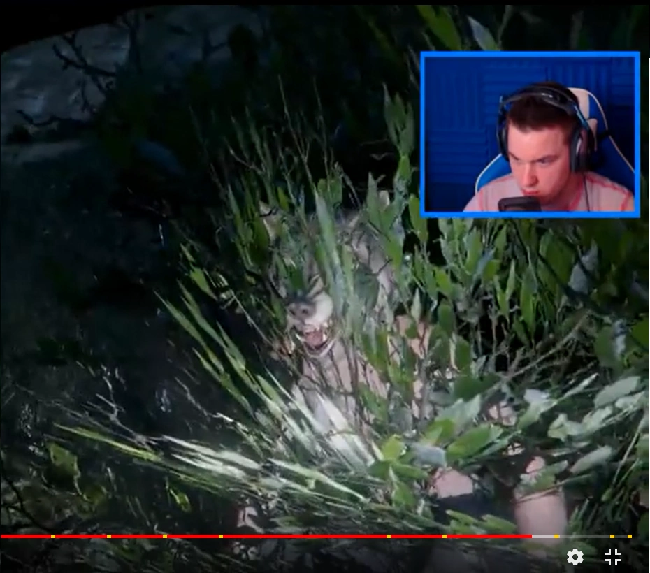 supposedly 'caught on camera' shot that started it all — except it's just his own mod running, and the streams are unlisted now because everyone called his bluff.