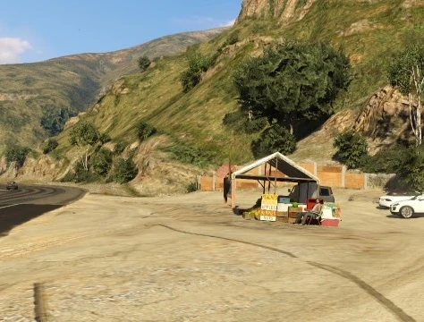 Rockstar officially marked a shack that doesn't exist.