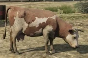 میتونی پرنده بشی و کل Los Santos رو پرواز کنی!
